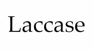 How to Pronounce Laccase [upl. by Tung468]