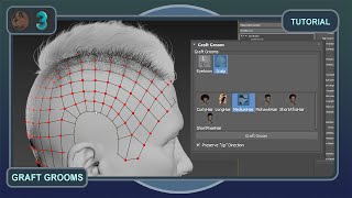 Ornatrix 3ds Max v8  How to use Graft Grooms [upl. by Niddala]