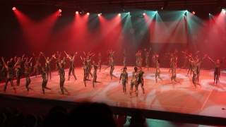 Demo A 2017  turnclub olympia Merelbeke  Animale  Ros beiaard [upl. by Chelsea]