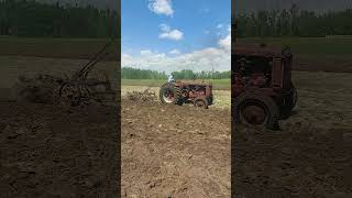 Westlock 2024 Plowing demo 1939 McCormickDeering WD40 Owned by George Hnatiuk [upl. by Narah]