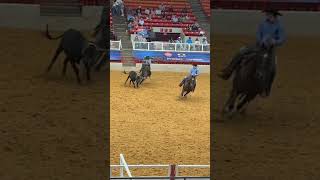 Houston rodeocowboys prorodeo teamroping [upl. by Azaleah]