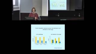 Roles of Rho GTPases in leukocyte and cancer cell transendothelial migration [upl. by Stronski267]