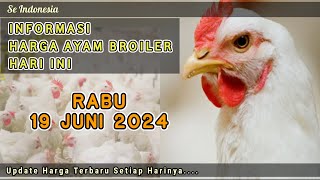 UPDATE HARGA AYAM BROILER HARI INI RABU 19 JUNI 2024 [upl. by Franky194]