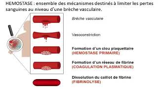 Hemato 08La physiologie de l’hémostase Dr Abbadi [upl. by Meadow]