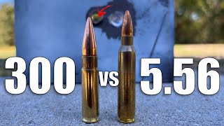 300 Blackout vs 556 NOT Even Close [upl. by Carvey381]