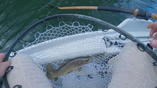 Drift boat FlyFishing the Goulburn River Victoria [upl. by Akinwahs]