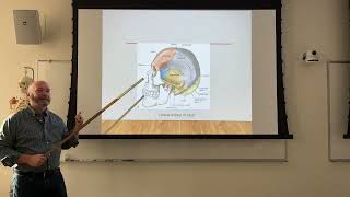 Rad Tech Basics Positioning Skull Anatomy and morphology 2024 [upl. by Jasmina170]