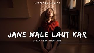 Jane Wale Laut Kar  SlowedReverb  Feelers Music [upl. by Otis]