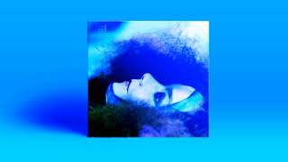 Björk  Biophilia Live CD 2 Full Album [upl. by Notlem]