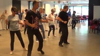 SUAVEMENTE BESAME Line Dance Dimitar Mitko Petrov Eindhoven Netherlands 2016 [upl. by Rothberg941]