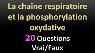 Révision SVT La chaîne respiratoire et la phosphorylation oxydative [upl. by Navy]