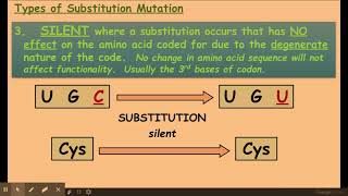 611 Cellular control a Gene mutations [upl. by Rori]