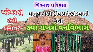 ગિરનાર પરિક્રમાના રૂટ પર દીપડાનો હુમલો Girnar Parikrama junagadh parikrama liliparikrama [upl. by Hillari613]