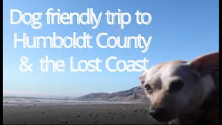 Dog friendly road trip to Eureka CA and the Lost Coast Humboldt County CA roadtrip [upl. by Sianna920]