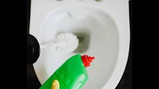 Easy Ways to Unclog Your Toilet Without a Plunger ToiletHacks ClogSolution QuickFixToilet [upl. by Eedya]