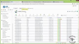 Как управлять своим хостингом Панель ISPManager [upl. by Yousuf]