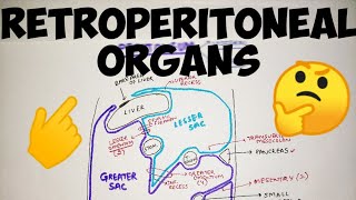 Retroperitoneal Organs  Peritoneum  Abdomen  Anatomy [upl. by Adranoel481]