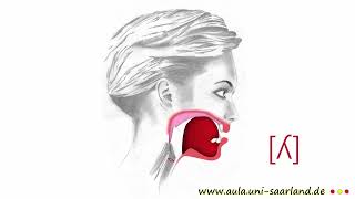 CÓMO PRONUNCIAR LA LL EN ESPAÑOL– PARA VISUALIZAR Y PRACTICAR – LATERALES ej Lleida λ [upl. by Eugeniusz]