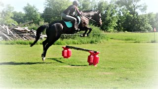 HOLY SUGAR NUTS STORM SO MANY CRAZY JUMPS [upl. by Aker]