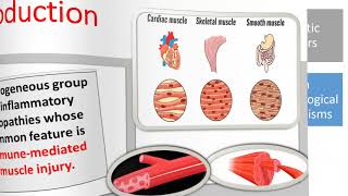 Idiopathic inflammatory myopathies  part 1 [upl. by Aihc]