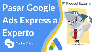 Qué es y cómo USAR GOOGLE ADS Para principiantes [upl. by Ahcila]