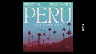 Fireboy DML  Peru Peace Control Remix [upl. by Audley]