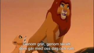 Lejon kungen 2 Vi är en Med text Lion King 2 We are one Swe laug and text [upl. by Akedijn550]