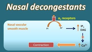 Nasal decongestant  How they act [upl. by Audry762]