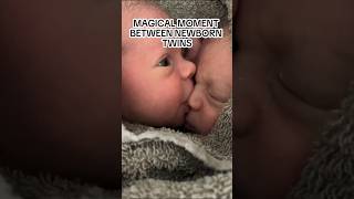 ✨Magical✨ I would birth twins to see this 🥹 SOUND ON [upl. by Jaf]