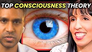 Consciousness Was INVENTED In the 1600s [upl. by Nolana]