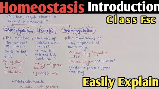 Homeostasis  Osmoregulation  Thermoregulation  Excretion  Homeostasis In Urdu Class 10 [upl. by Adnuhsal591]