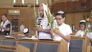 Loofhuttenfeest in Israel [upl. by Groh]