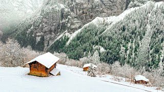 Winter is back in Gimmelwald ❄️🇨🇭 Walking in snow [upl. by Melgar]