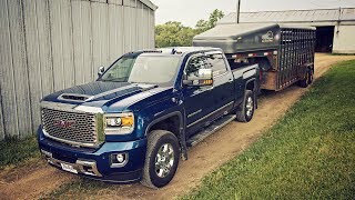 Hauling Cattle  2017 GMC Sierra 3500 Denali [upl. by Navonoj]