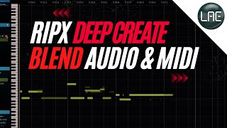 RipX DeepCreate Blurring the Lines Between MIDI and Audio [upl. by Avad]