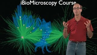 Microscopy What Can You Learn With a Light Microscope Ron Vale [upl. by Kerrison560]