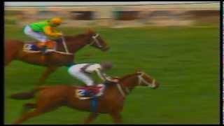 1986 Cox Plate Bonecrusher vs Our Waverley Star [upl. by Ambrosio129]