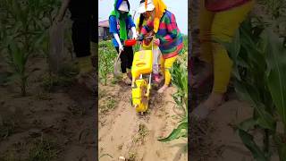 Modern agriculture techniques  practical fertilizing tool for rural farmer farming shorts [upl. by Ewer]