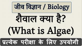 शैवाल क्या है  What is Algae in Hindi  जीव विज्ञान Biology  Science Gk in Hindi [upl. by Good]