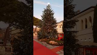 Christmas tree in Garda Lake Garda Italy [upl. by Annovy818]