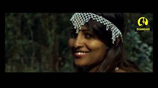 Nigusu Tamirat Official Video Ethiopian Music [upl. by Aelahs46]