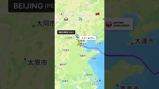 日本航空 JL21便 東京から北京へのフライト 飛行機 旅行 [upl. by Yhtur]