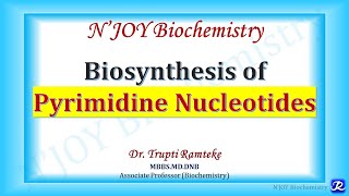 Pyrimidine Biosynthesis  Nucleotide Metabolism  Biochemistry  NJOY Biochemistry [upl. by Peugia]