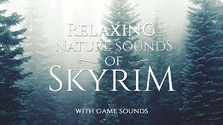 Skyrim Atmospheres by Jeremy Soule  Relaxing Nature Sounds of Skyrim [upl. by Zehc381]