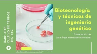 Biotecnología y técnicas de Ingeniería genética [upl. by Zetana572]