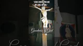 JESUS CHRIST YOU ARE MY LORD MY GOD 🙏 GOODNESS OF GOD shortsfeed jesus shortsvideo shorts [upl. by Yrem581]