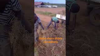 alick macheso solo bass tafadzwa ft DR SIDZO WEKU HKD MASHAVA [upl. by Byler90]