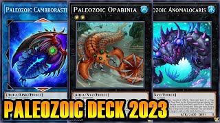 【YGOPRO】 PALEOZOIC DECK 2023 [upl. by Schuh94]