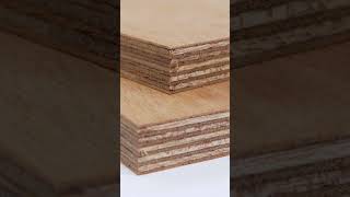 Which is Better OSB or Plywood shorts [upl. by Roderigo]