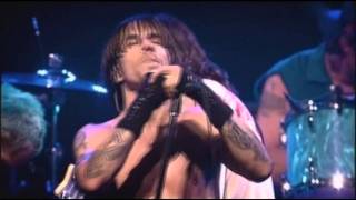 Red Hot Chili Peppers  Californication  Live at Olympia Paris [upl. by Elicul602]